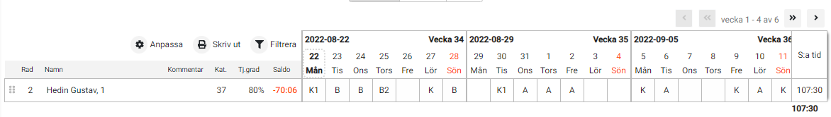 22önskeschema4