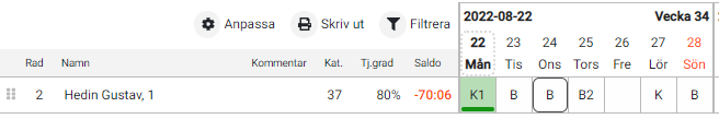 22önskeschema13