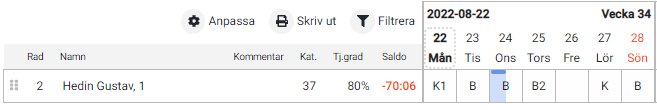 22önskeschema17