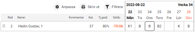 22önskeschema8